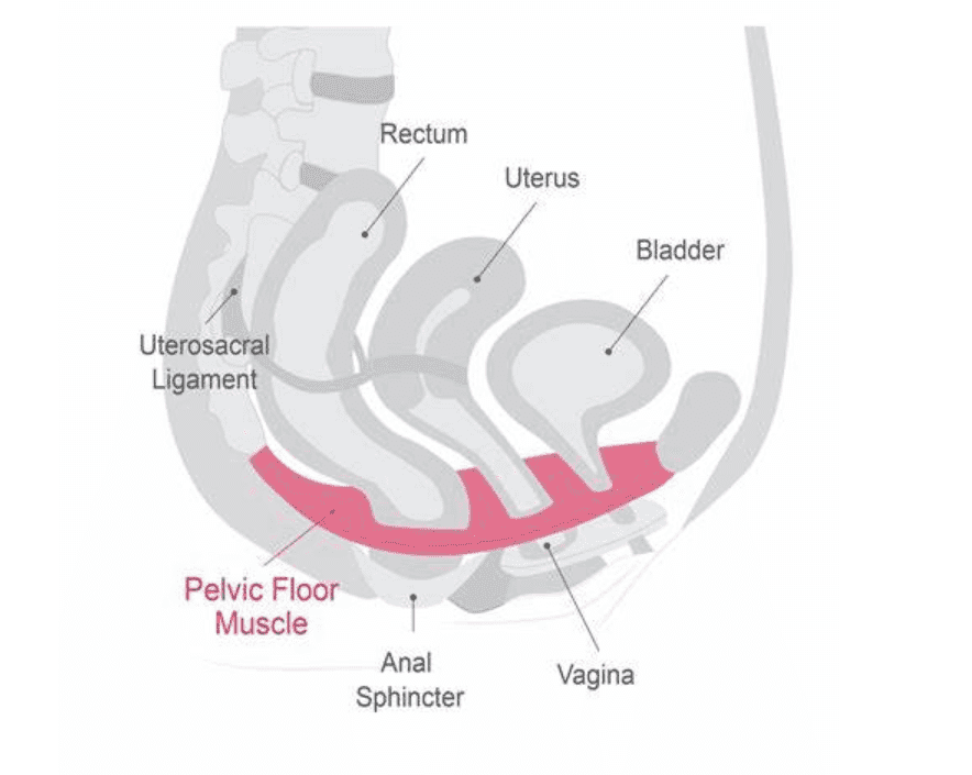 Breaking the Stigma: How Pelvic Floor Therapy is Changing Women’s Health